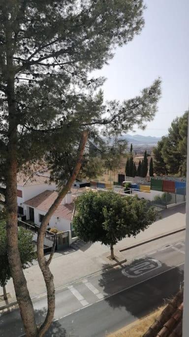 דירות גרנדה Views, Family & Private Parking In Alto Albayzin מראה חיצוני תמונה